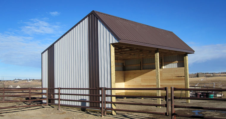 Cattle / Horse Shelter